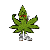 WEEDY RUG - PRESALE